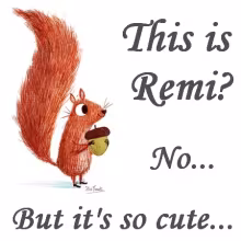 Profile picture for user Remi