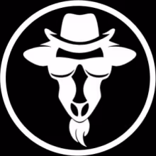 Profile picture for user Tajiš
