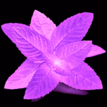 Profile picture for user MataPeprna