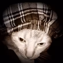 Profile picture for user Locklear