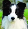 Profile picture for user Tyfónek